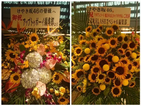 加藤 史帆｜お見送り楽しかったなあ(・ω・)（2018-08-25）｜8枚目