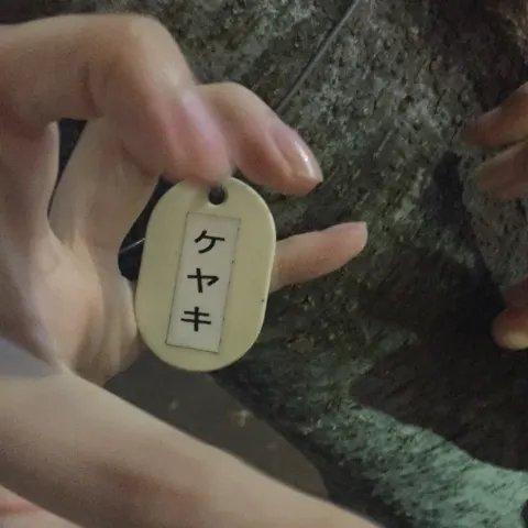 加藤 史帆｜ケヤキ(・ω・)（2016-11-25）｜2枚目