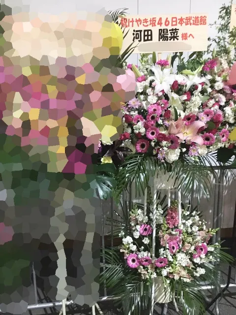 河田 陽菜｜日本武道館3days⭐️河田陽菜（2018-02-04）｜11枚目
