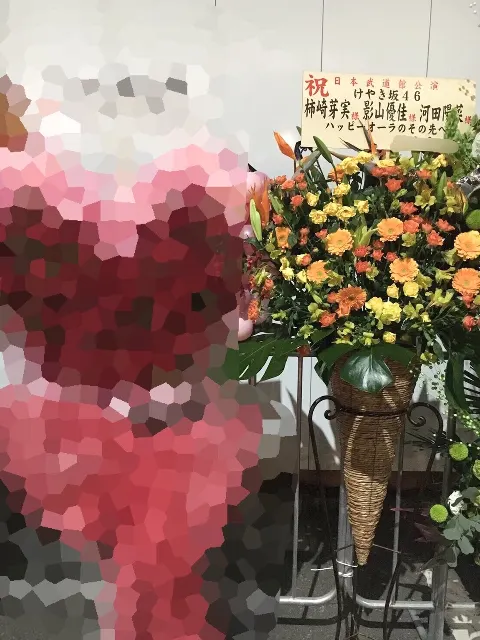 河田 陽菜｜日本武道館3days⭐️河田陽菜（2018-02-04）｜5枚目