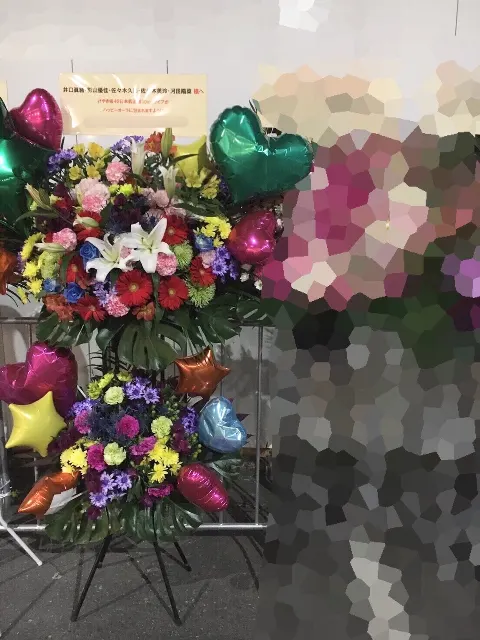 河田 陽菜｜日本武道館3days⭐️河田陽菜（2018-02-04）｜4枚目