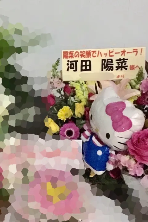 河田 陽菜｜口癖（2018-02-13）｜3枚目