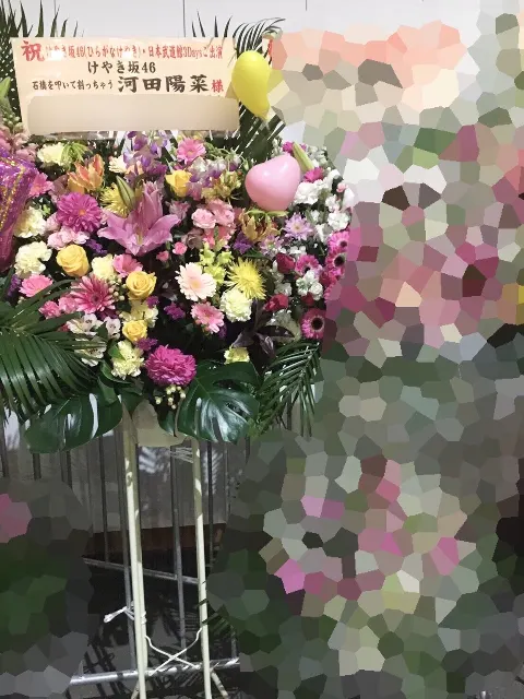 河田 陽菜｜日本武道館3days⭐️河田陽菜（2018-02-04）｜6枚目