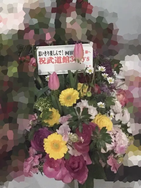 河田 陽菜｜日本武道館3days⭐️河田陽菜（2018-02-04）｜10枚目