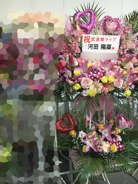 河田 陽菜｜日本武道館3days⭐️河田陽菜（2018-02-04）｜8枚目