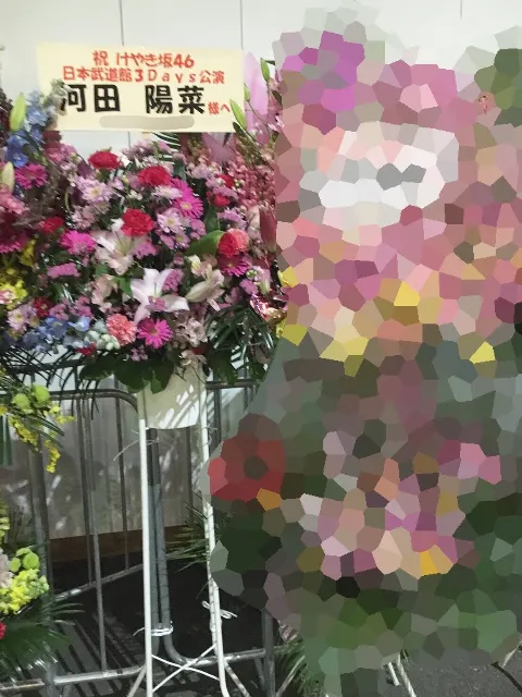 河田 陽菜｜日本武道館3days⭐️河田陽菜（2018-02-04）｜7枚目