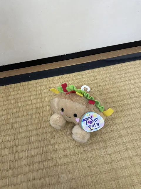 河田 陽菜｜タコス（2024-08-05）｜4枚目