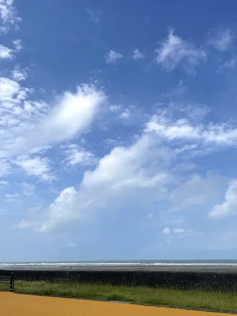 河田 陽菜｜わくわく（2024-08-18）｜5枚目