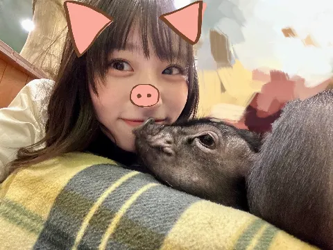 岸 帆夏｜ぶたさん🐷に癒されなされ〜♡ 岸帆夏(きしほのか)（2023-05-19）｜2枚目