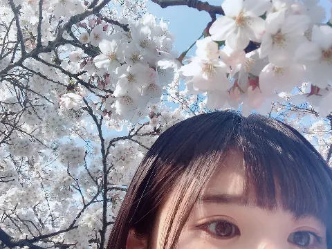 松田 好花｜桜だね〜（2019-04-06）｜2枚目