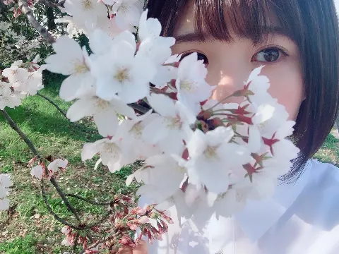 松田 好花｜桜だね〜（2019-04-06）｜3枚目