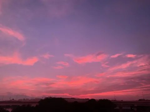 松田 好花｜石の上にも（2020-08-13）｜2枚目