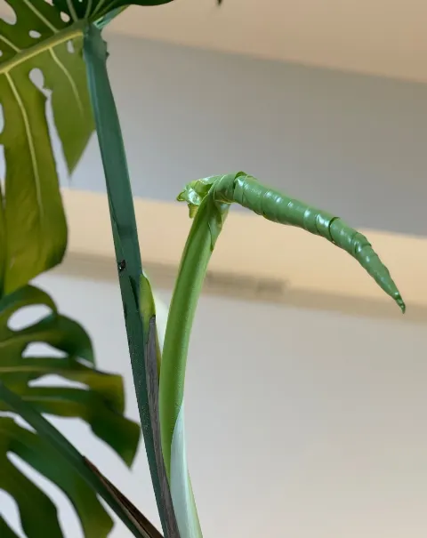 松田 好花｜新しい仲間🌱（2021-04-14）｜3枚目