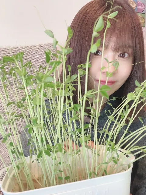 松田 好花｜6枚目シングル（2021-08-31）｜5枚目