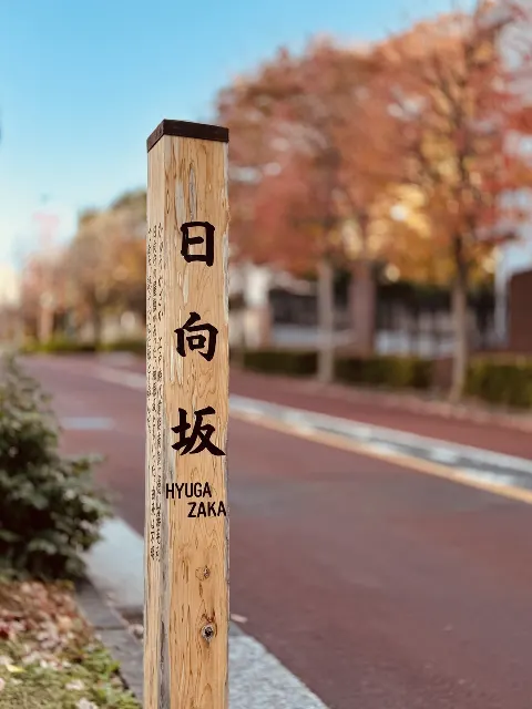 松田 好花｜この場所が好きだから（2025-12-01）