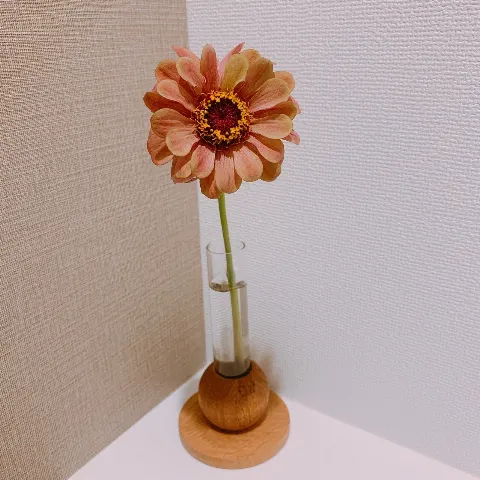 松田 好花｜信じて良いものなのかと疑うほど（2020-10-10）