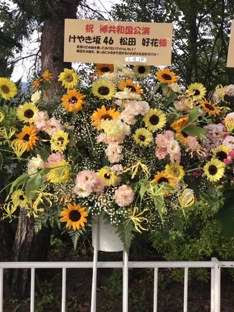 松田 好花｜欅共和国！！（2018-07-23）｜3枚目
