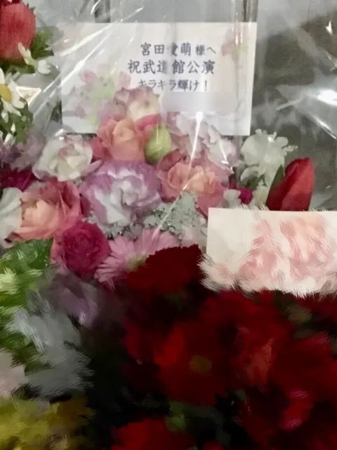 宮田 愛萌｜武道館‼︎ 宮田愛萌（2018-02-09）｜2枚目