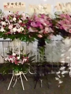 宮田 愛萌｜武道館‼︎ 宮田愛萌（2018-02-09）｜3枚目