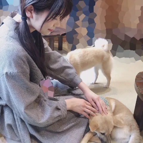 丹生 明里｜~柔らかい、ほわほわ！~（2018-10-07）｜7枚目