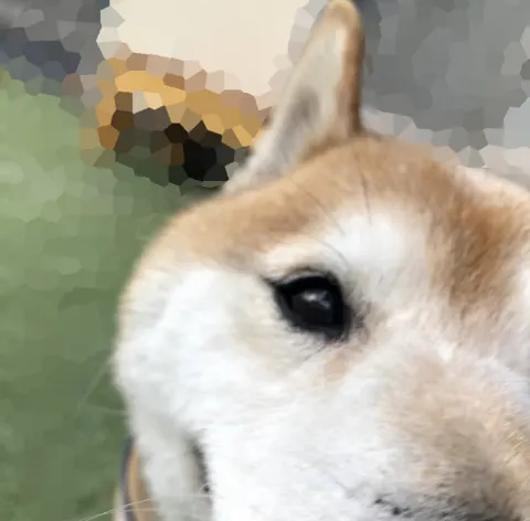 丹生 明里｜~ゲームむむむむ( ¨̮ )~（2020-06-15）｜5枚目