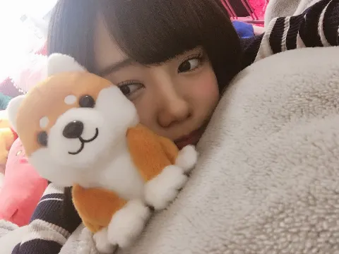 齊藤 京子｜豆しばちゃん（2017-04-15）