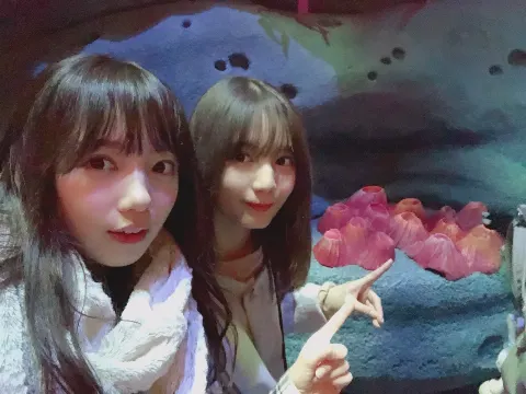 齊藤 京子｜お正月（2019-01-02）