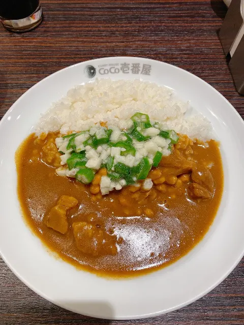 齊藤 京子｜カレーハウスCoCo壱番屋（2019-11-04）