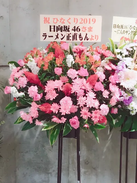 齊藤 京子｜ひなくり2019（2019-12-20）｜16枚目