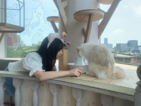 齊藤 京子｜とっておきの恋人、死んじゃうくらい抱きしめて。（2021-05-31）｜12枚目