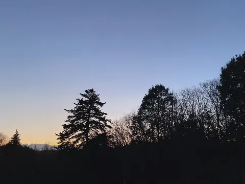 佐々木 久美｜サウスバード（2021-02-28）｜7枚目