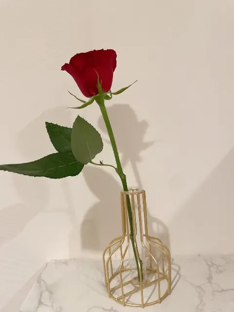 佐々木 美玲｜任務完了🌹（2023-03-27）
