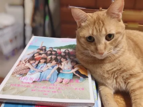 佐々木 美玲｜あおからの伝言🐱（2019-09-16）｜2枚目
