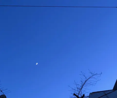 佐々木 美玲｜月が綺麗だよ🌙（2020-01-31）｜2枚目