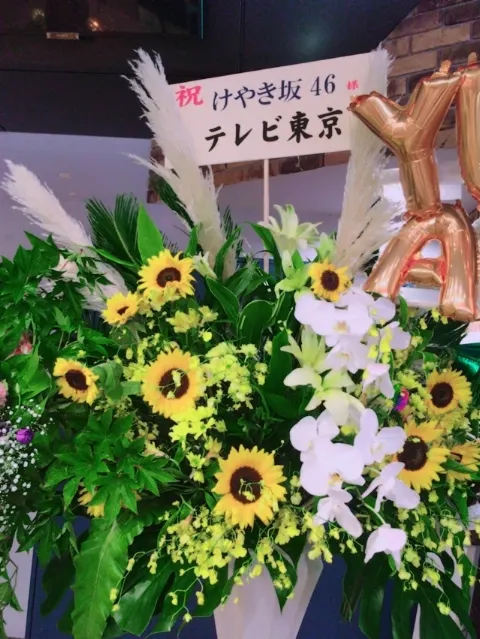 佐々木 美玲｜flower٩꒰ ´ᆺ`꒱۶（2017-09-30）｜8枚目