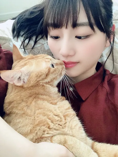 佐々木 美玲｜見てにゃ〜🐈（2020-08-27）｜2枚目