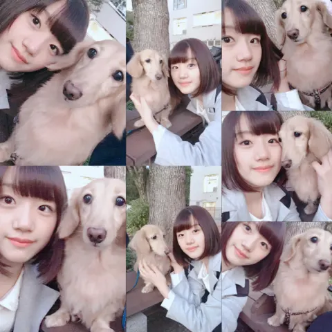 佐々木 美玲｜愛犬さん。（2016-11-13）｜2枚目