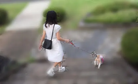 高本 彩花｜昨日のつづき（2016-09-19）｜2枚目