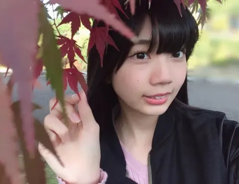 高本 彩花｜もみじ見つけました（2016-11-12）