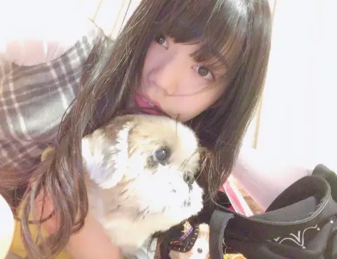 高本 彩花｜幕張メッセ、個別握手会（2017-01-23）｜2枚目