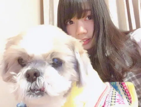 高本 彩花｜幕張メッセ、個別握手会（2017-01-23）｜3枚目