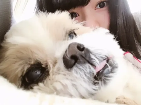 高本 彩花｜なつび（2017-04-19）