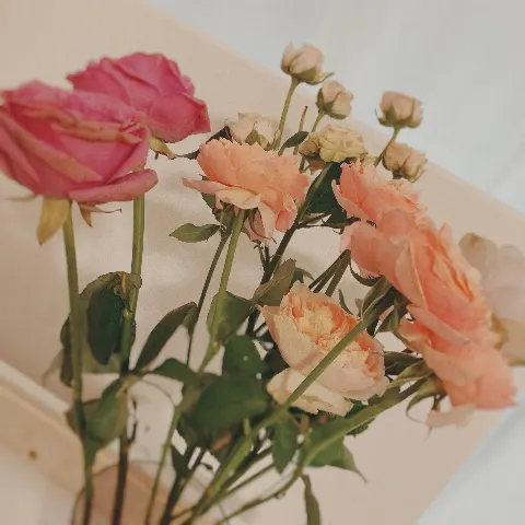 高瀬 愛奈｜フラワー💐（2021-08-19）｜4枚目