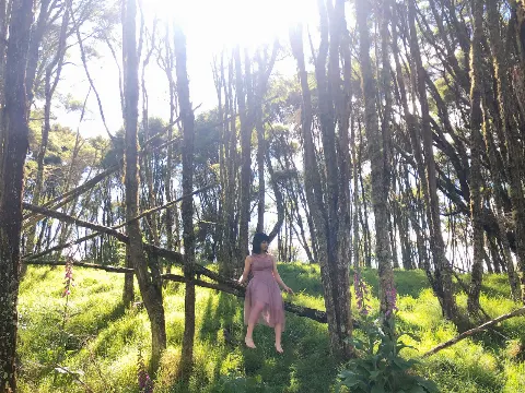 渡邉 美穂｜よしなに(   ᷇࿀ ᷆  )（2019-12-24）｜3枚目