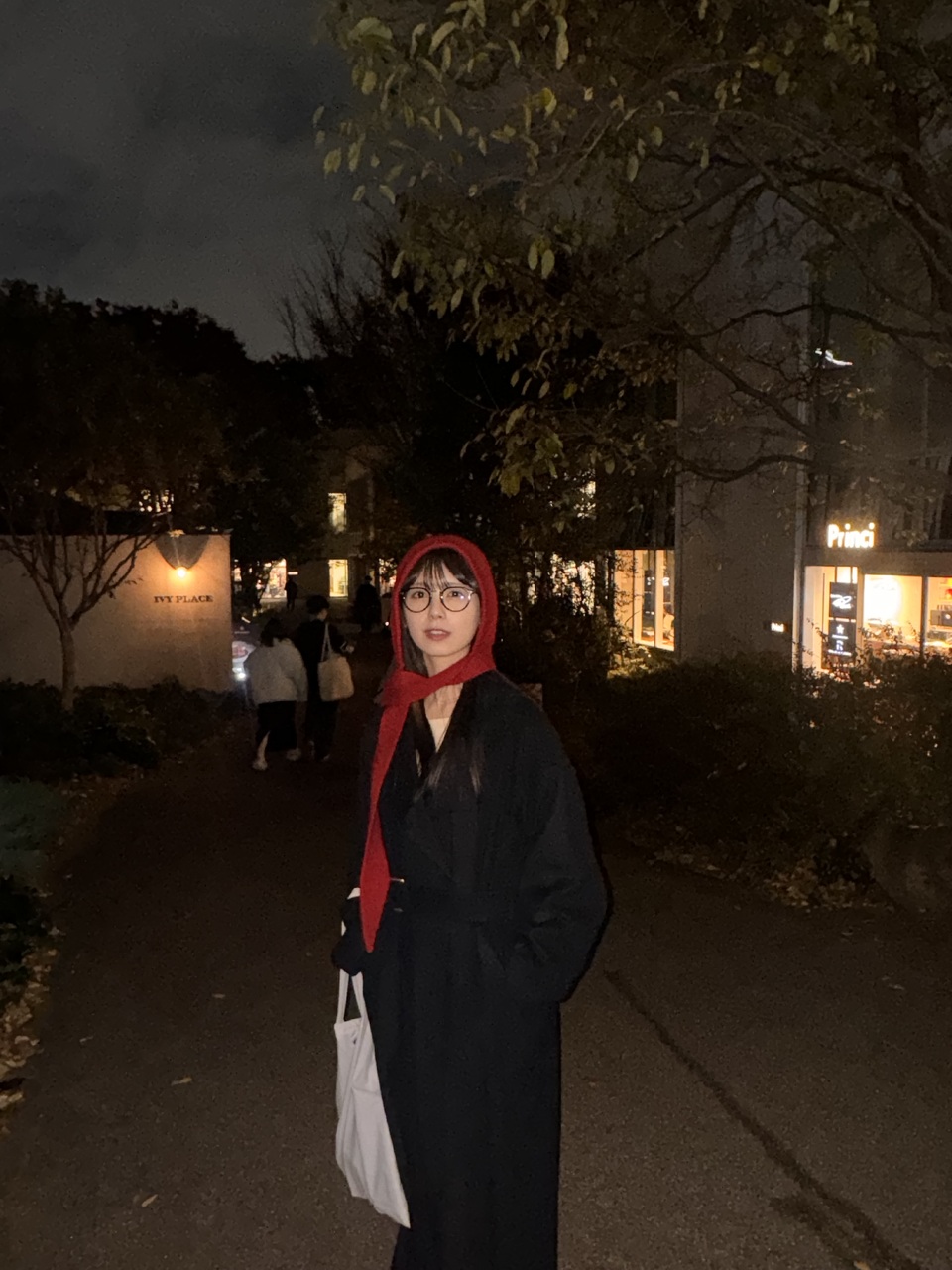 筒井 あやめ｜歩道橋（2024-12-13）