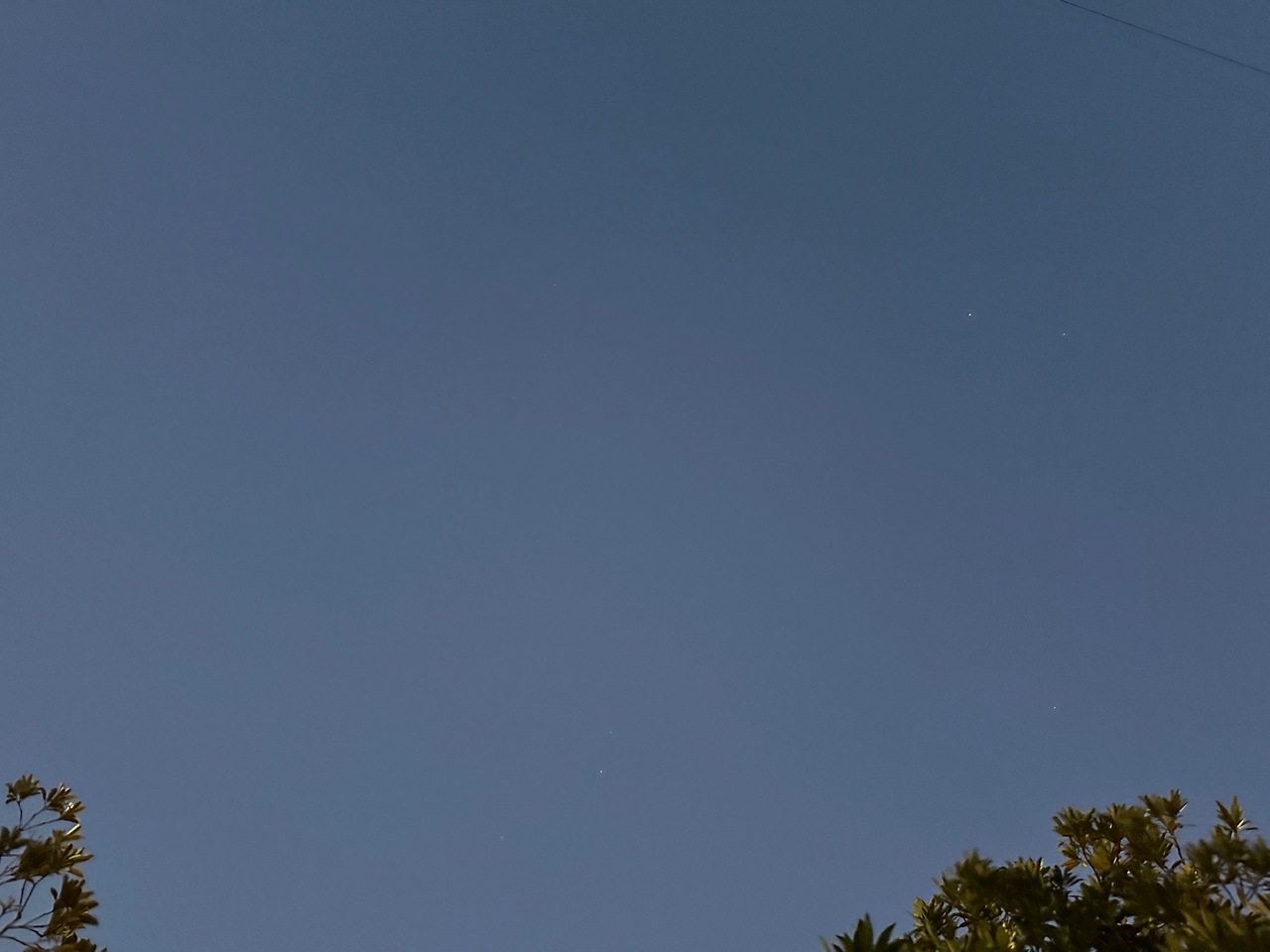 遠藤 さくら｜できごとです。（2025-02-19）