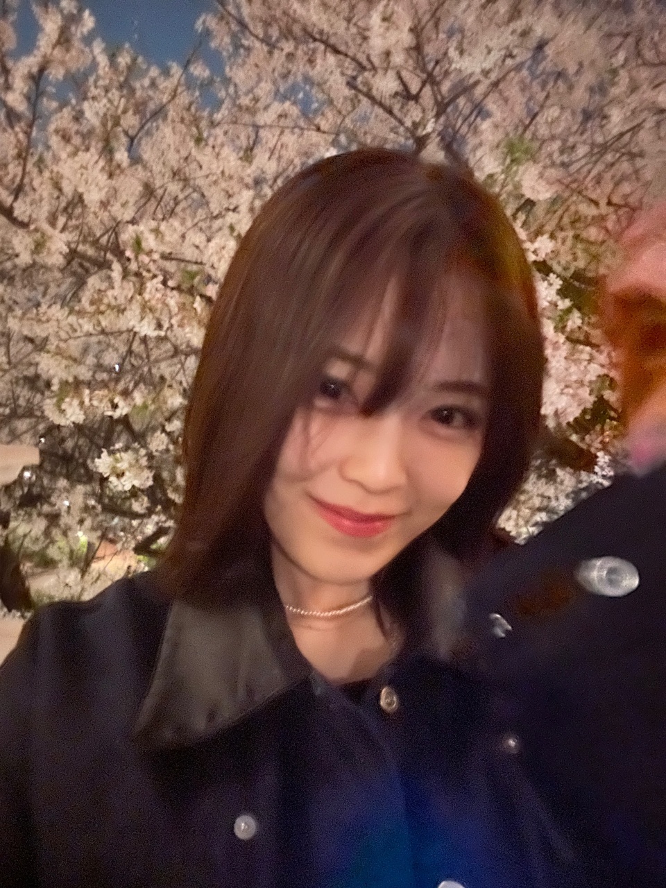 柴田 柚菜｜蝶々が増えた（2025-04-03）