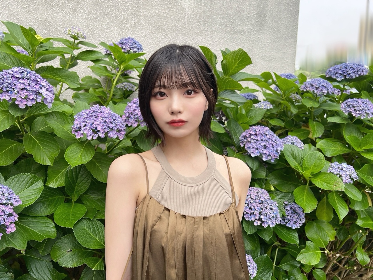 中西 アルノ｜紫陽花にはこびとがいるのね（2025-07-04）