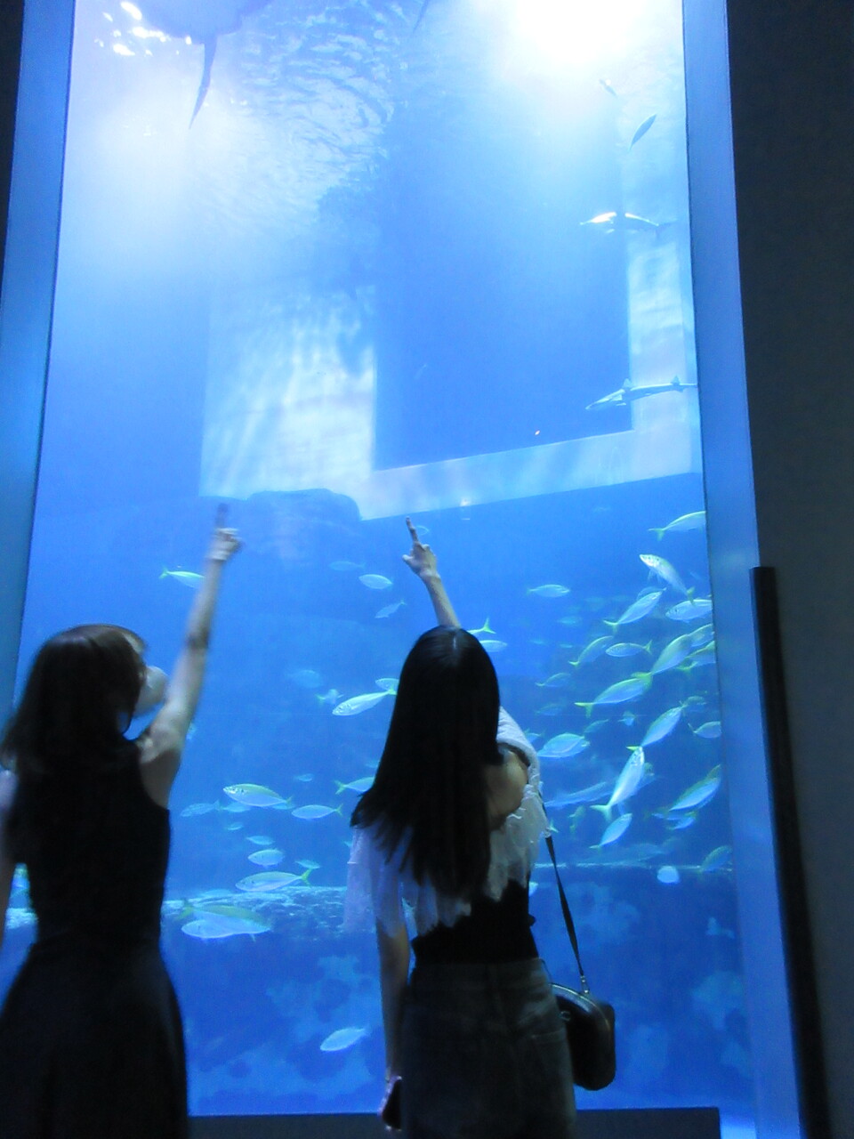 田村 真佑｜雪の世界と海の世界（2025-09-26）