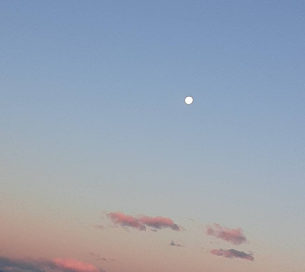 森平 麗心｜幸せをꨄ🪽⟡⁺.　　森平麗心（2025-10-01）